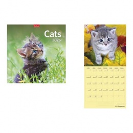 Naptár, fali, TOPTIMER, &quot;Cats&quot;