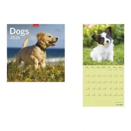Naptár, fali, TOPTIMER, &quot;Dogs&quot;